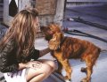 Click to view big image cheryl-cole-cute-dog-fashion-girl-kiss-47897.jpg